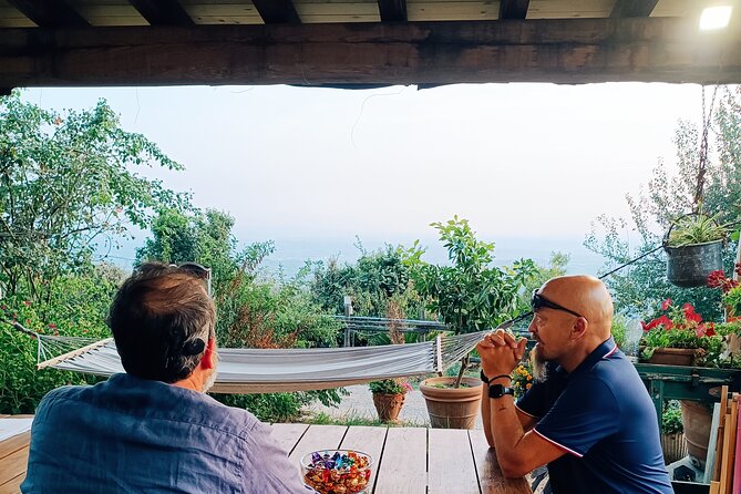 PRIVATE Tour: Oil Production, Leonardos House, Tasting - Traveler Information