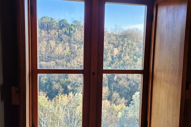 PRIVATE Tour: Oil Production, Leonardos House, Tasting - Reviews