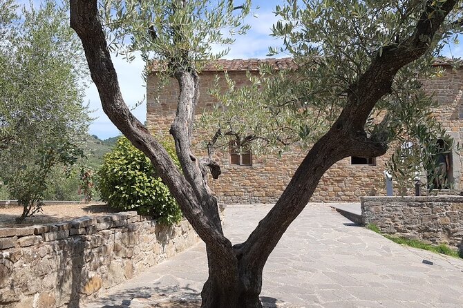 PRIVATE Tour: Oil Production, Leonardos House, Tasting - Leonardos House