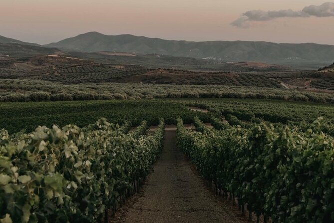 Private Tour: Olive Oil Tasting,Wine,Raki and Local Food Tour - Accessibility and Participation