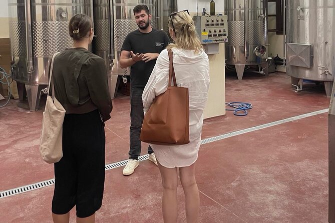Private Tour: Olive Oil Tasting,Wine,Raki and Local Food Tour - Reviews and Feedback