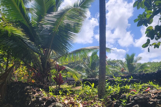 Private Tour on Maui With Luxury Mercedes S-Class - Accessibility and Suitability