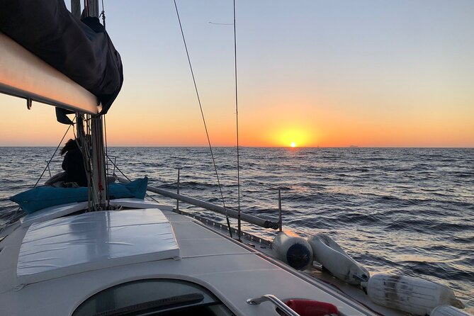 Private Tour on the Douro River and Sea and Sunset - Participant Information