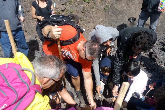 Private Tour One Day Hike - Pacaya Volcano From Puerto Quetzal - Unique Tour Experience