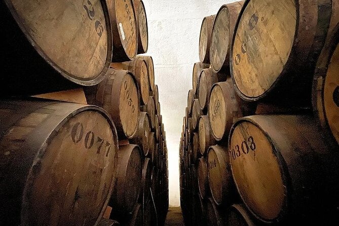 Private Tour One Day in Guachimontones and La Fortaleza Distillery - Participant Guidelines