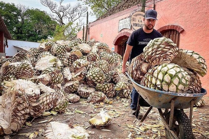 Private Tour One Day in Guachimontones and La Fortaleza Distillery - Nearby Attractions