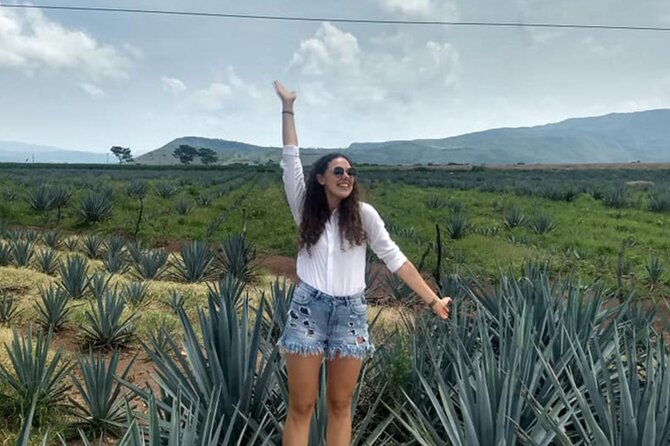 Private Tour One Day of Adventure in the Guachimontones and Tequila Magic Town - Positive Guest Reviews