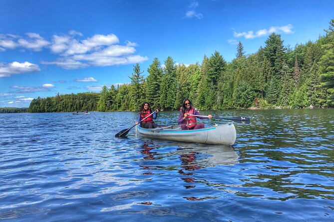 Private Tour or Private Transportation From Toronto Anywhere - Accessibility and Transportation