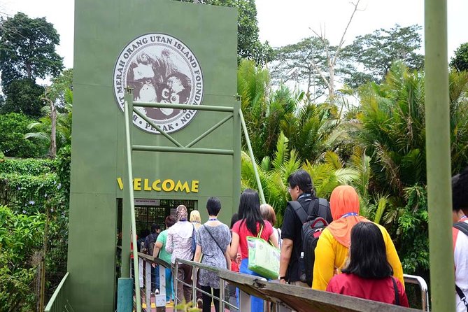Private Tour : Orang Utan Island & Perak Cave Temple From Kuala Lumpur - Orangutan Experience