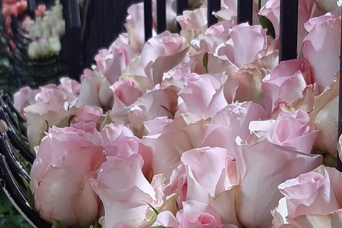Private Tour Papallacta Hot Springs Roses Farm and a Relaxe Hike - Inclusions