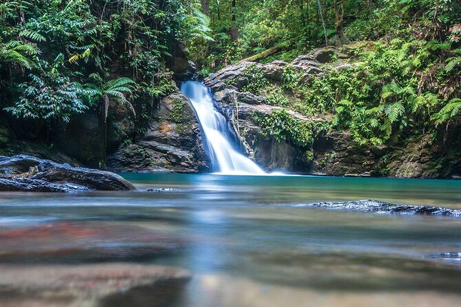Private Tour Paria Waterfall From Port of Spain - About Your Stay