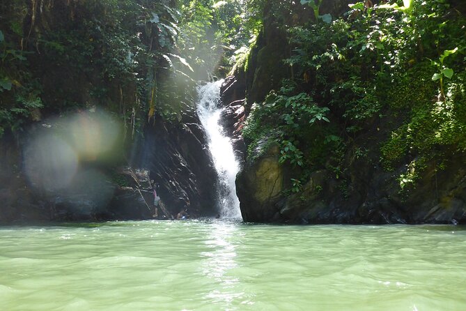 Private Tour Paria Waterfall From Port of Spain - Transportation and Pickup Arrangements