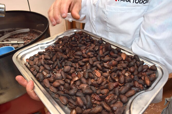 Private Tour: Peacebuilding in Antioquia - From Coca Fields to Cocoa! - Tour Overview and Highlights