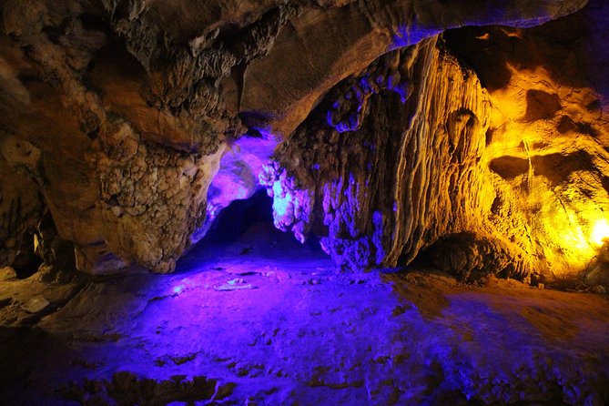 Private Tour] Perfect Day! Sticky Waterfall + Chiangdao Cave + Wat Bandentemple - Bai Orchid and Butterfly Farm
