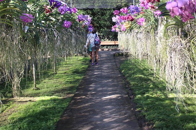 Private Tour] Perfect Day! Sticky Waterfall + Chiangdao Cave + Wat Bandentemple - Chiangdao Cave