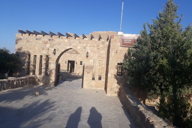 Private Tour Petra and Shobak Castle From Amman - Tour Overview