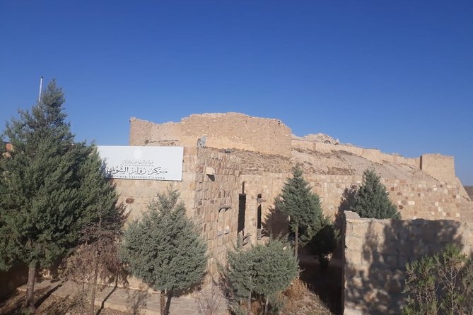 Private Tour Petra and Shobak Castle From Amman - Sandstone Architecture of Petra