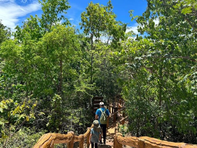 Private Tour Pha Chor Canyon & Doi Inthanon National Park - Ang Ga Trail