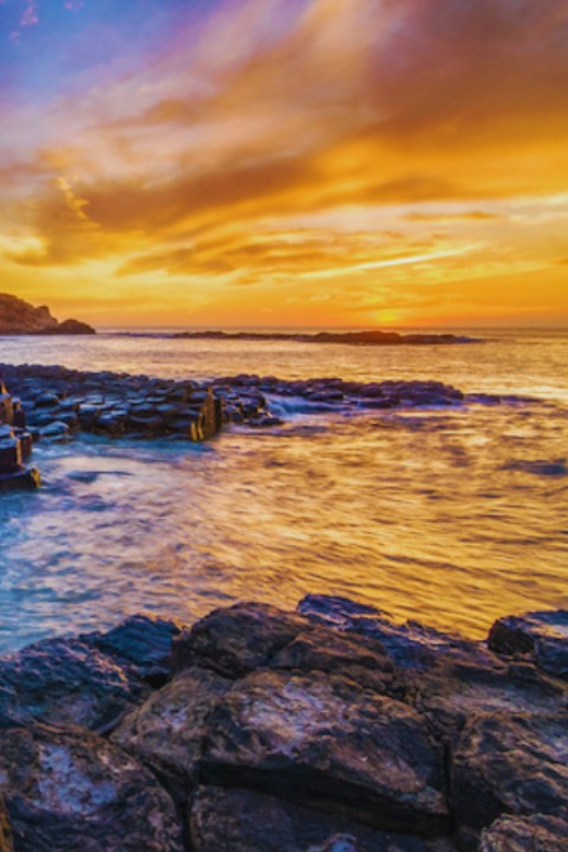 Private Tour : Phu Yen From Nha Trang - Transportation and Amenities