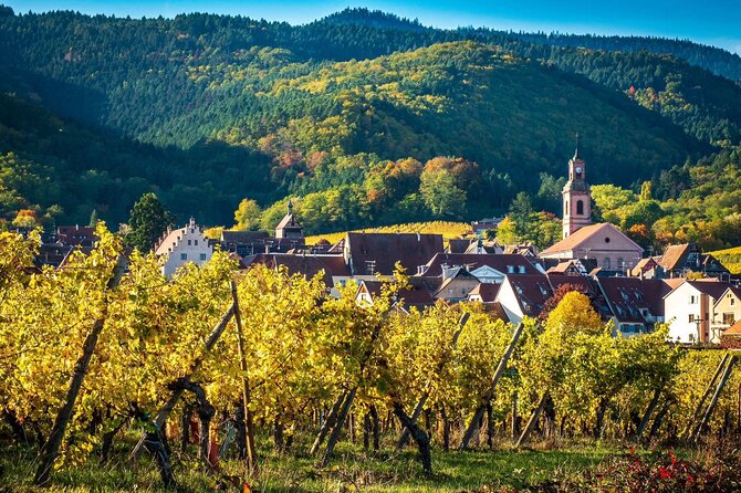 Private Tour: Picturesque Alsatian Villages & Wine Tasting With a Local Expert - Exploring Eguisheim