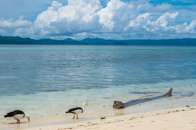 Private Tour Pirates of the Caribbean Port Royal & Beach - Booking Your Stay