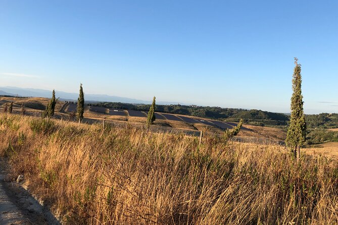 Private Tour Pisa, Countryside With Wine Tasting - Important Information