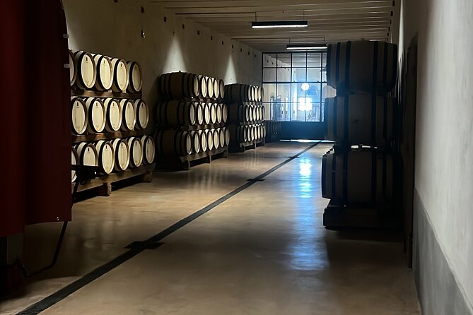 Private Tour Pisa, Countryside With Wine Tasting - Advantages of a Private Tour