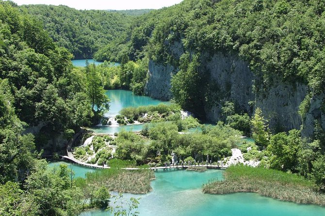 Private Tour: Plitvice Lakes National Park Day Trip From Dubrovnik - Customer Feedback and Experiences