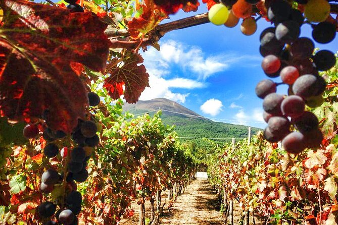 Private Tour: Pompeii and Mount Vesuvius With Wine Tasting - Tour Inclusions and Pricing