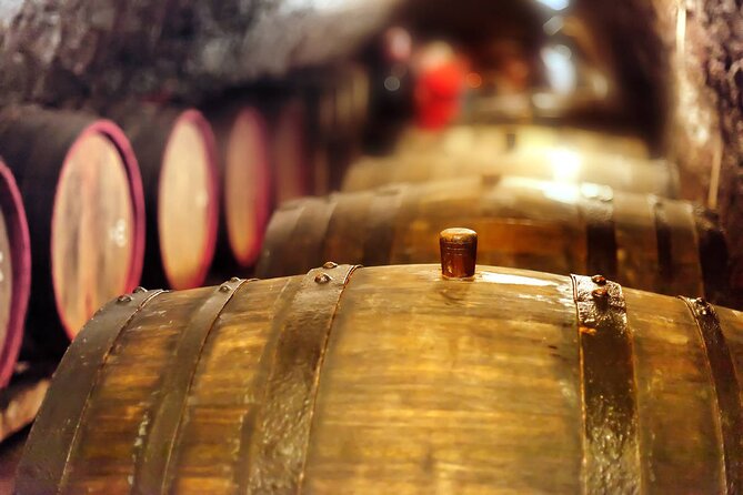 Private Tour Pompeii and Winery - Winery Experience