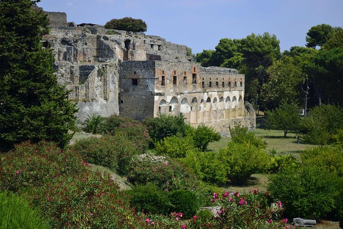 Private Tour: Pompeii Half-Day Trip From Naples - Exploring the Ancient City