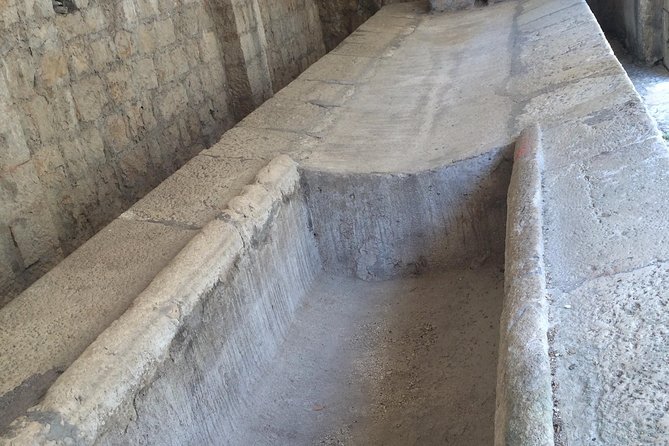 Private Tour Pompeii Herculaneum Vesuvius - Private Vehicle Transport