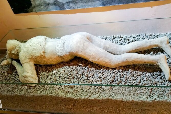 Private Tour: Pompeii Tour With Family Tour Option - Destruction of Pompeii in AD 79