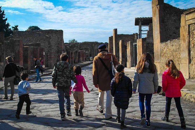 Private Tour: Pompeii Tour With Family Tour Option - Standard Pompeii Tour Details