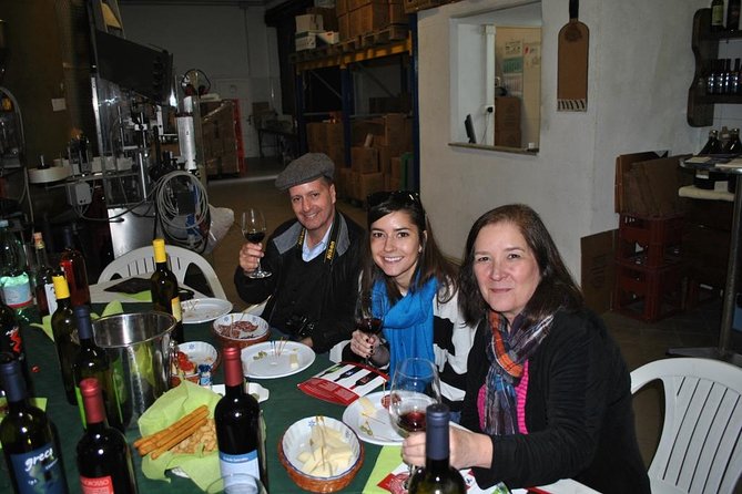 Private Tour Pompeii Vesuvius and Winery From Sorrento - Scenic Views of Volcano