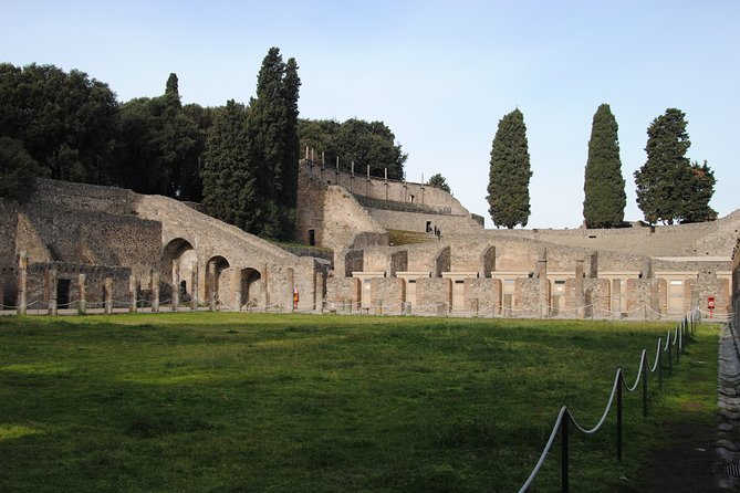 Private Tour Pompeii Vesuvius and Winery From Sorrento - Wine-Tasting Lunch Option