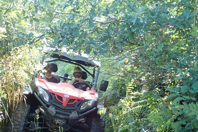 Private Tour Porto Buggy Adventure - Guest Reviews