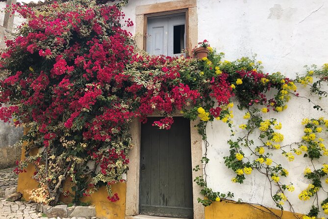 Private Tour: Porto to Lisbon: Visit Aveiro,Coimbra,Fatima,Obidos - Meeting and Pickup