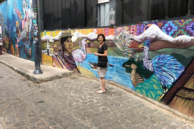 PRIVATE TOUR: Pre-Post Cruise Viña Del Mar Valparaiso and Casablanca Winery TOUR - Key Points