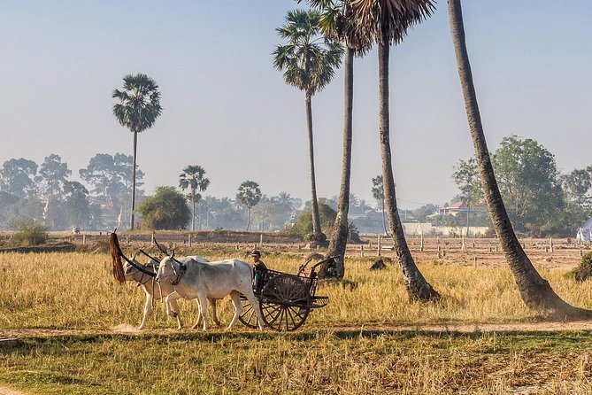 Private Tour: Preah Khan Kompong Svay and Sambor Prei Kuk Temples - Good To Know