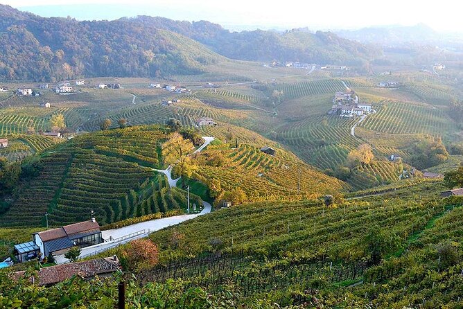 Private Tour: Prosecco Wine Tasting Day Trip With Lunch From Venice - Venetos Prestigious Prosecco Region