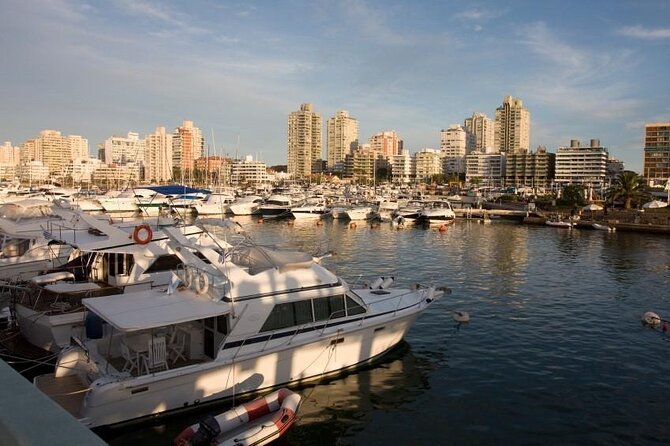 Private TOUR Punta Del Este With TANGO TOUR Super Exclusive - Key Points