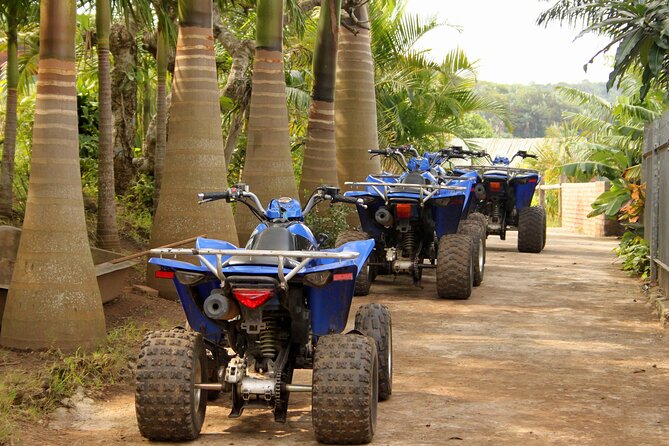 Private Tour Quads ATV Saint-Martin - Tour Overview