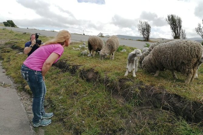 Private Tour: Quilotoa Lagoon From Quito All-Inclusive - About the Provider