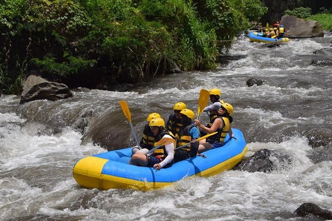 Private Tour Rafting Uluwatu Kecak Dance Sunset and Dinner in Jimbaran Bay - Dinner at Jimbaran Bay