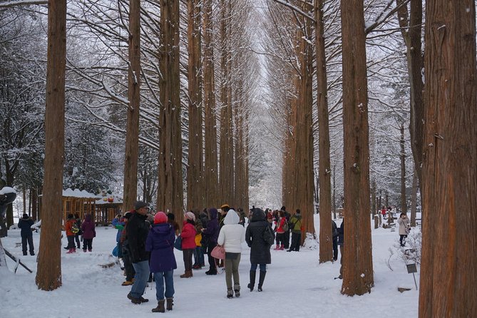 Private Tour Rail Bike & Nami Island & (Petite France or Garden of Morning Calm) - Transportation Logistics