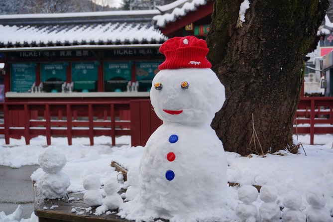 Private Tour Rail Bike & Nami Island & (Petite France or Garden of Morning Calm) - Itinerary Details