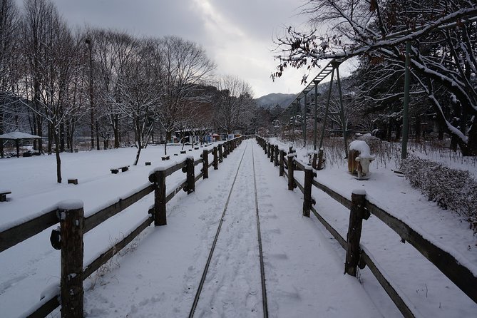 Private Tour Rail Bike & Nami Island & (Petite France or Garden of Morning Calm) - Tour Accessibility