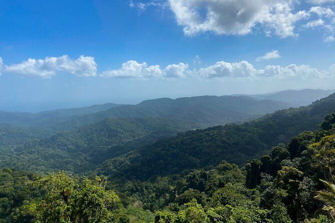 Private Tour Rainforest From Tobago - Tour Overview