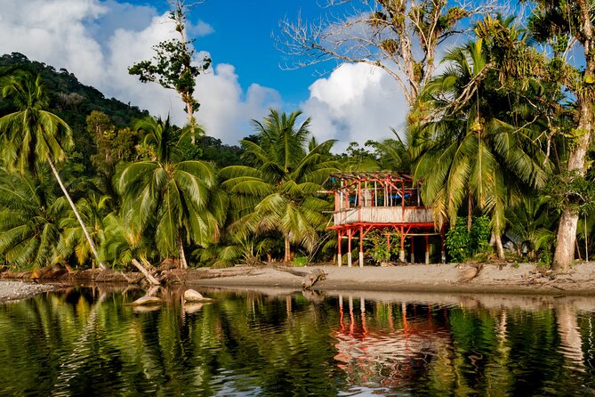 Private Tour Rainforest From Tobago - Tour Experience